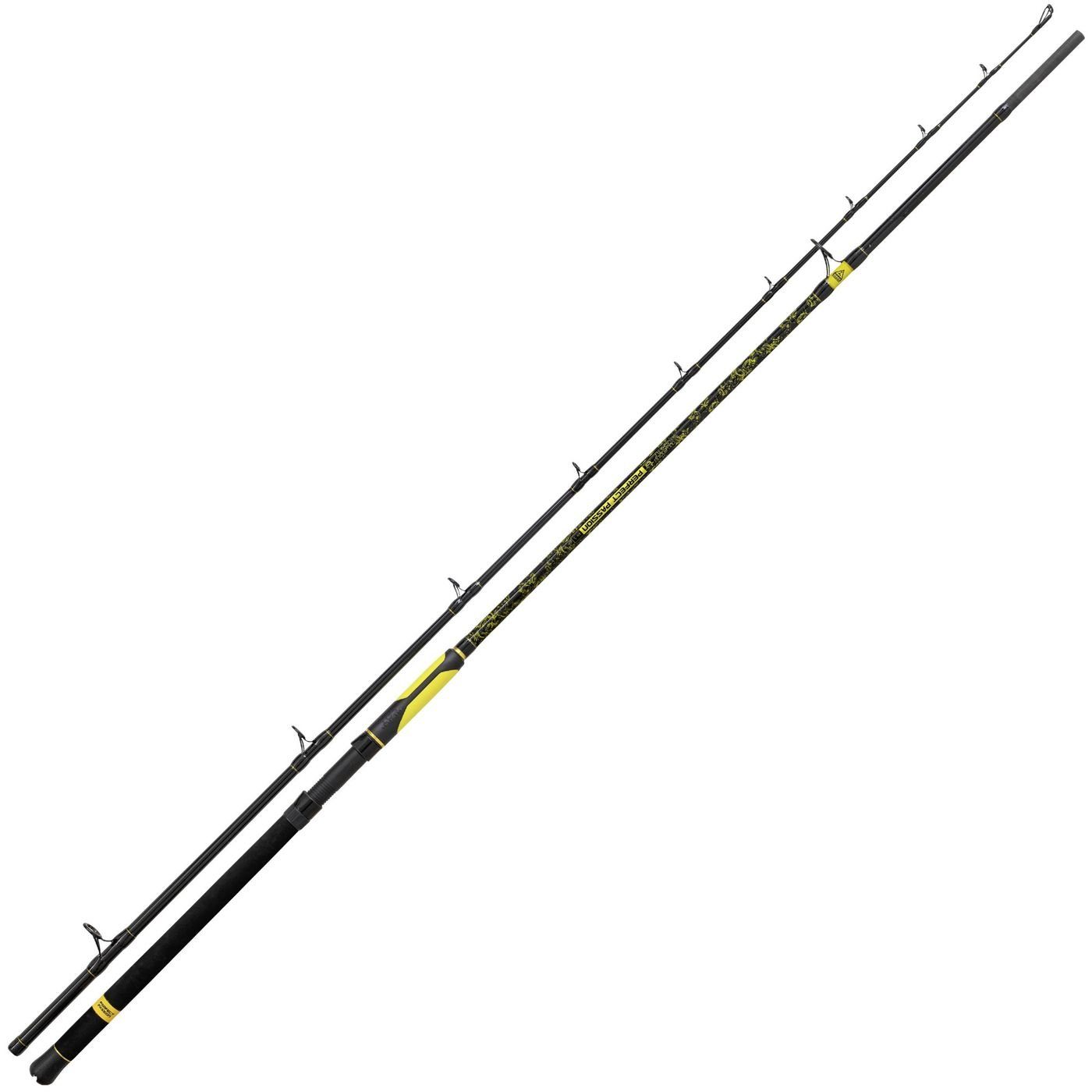 Perfect Black Spinnrute Wallerrute Cat Rute 3m 350g XH-S - Passion