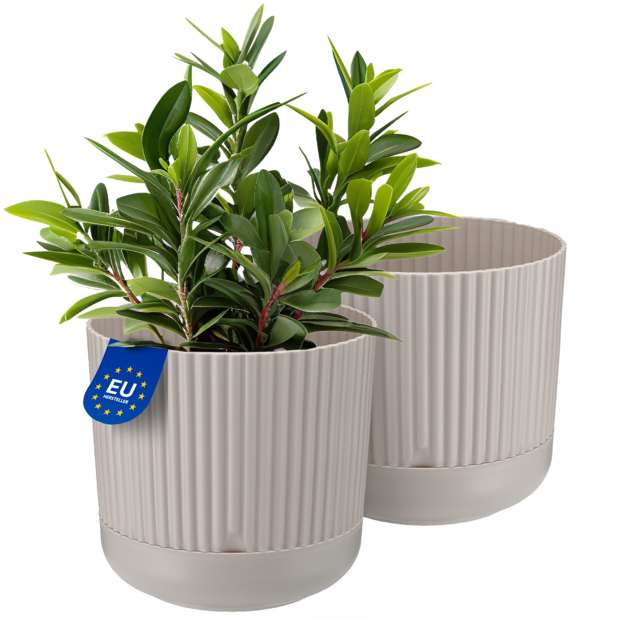KONZEPT Blumentopf mit Untersetzer, 16 cm günstig online kaufen