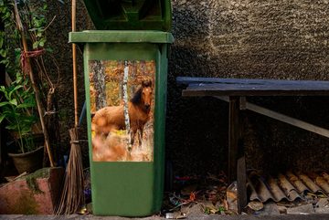 MuchoWow Wandsticker Pferd - Wald - Braun (1 St), Mülleimer-aufkleber, Mülltonne, Sticker, Container, Abfalbehälter