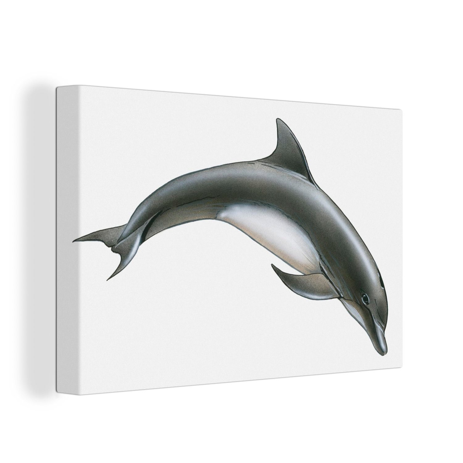 OneMillionCanvasses® Leinwandbild Delfin - Weiß, (1 St), Wandbild Leinwandbilder, Aufhängefertig, Wanddeko, 30x20 cm