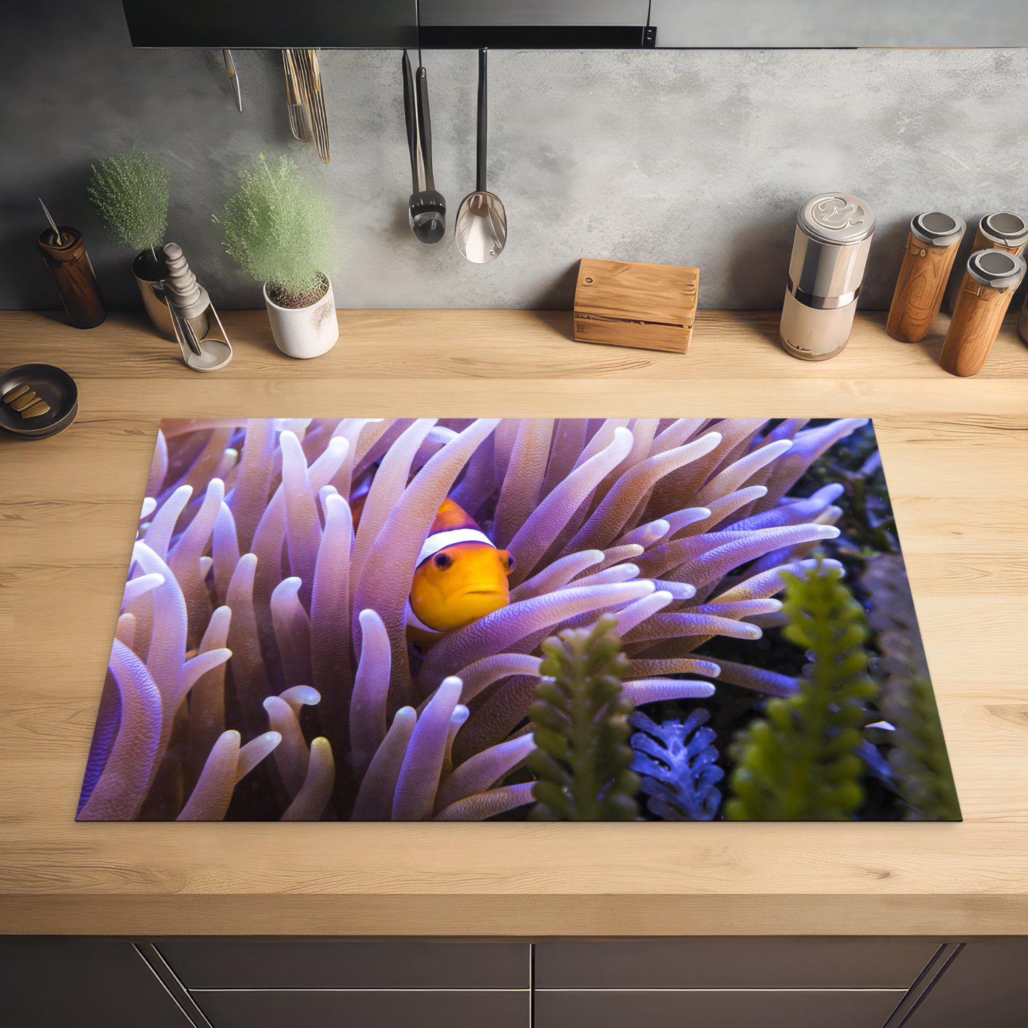 Schutz - Induktionskochfeld für (1 Anemone Ceranfeldabdeckung die Nemo, 81x52 - tlg), MuchoWow cm, Fisch Vinyl, Herdblende-/Abdeckplatte küche,