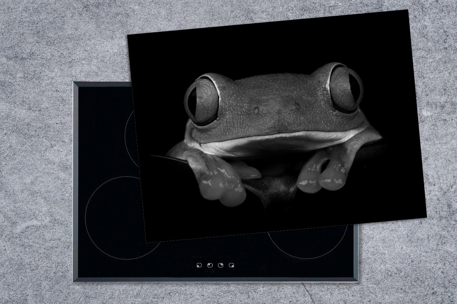 Blatt MuchoWow Vinyl, (1 70x52 rotäugiger Laubfrosch, und, Arbeitsfläche Herdblende-/Abdeckplatte Mobile Ein an der ein lehnt tlg), nutzbar, schwarz - sich Ceranfeldabdeckung cm,