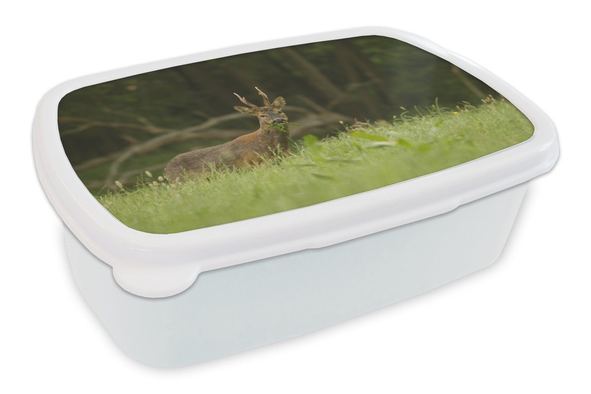MuchoWow Lunchbox und für - Kinder Hirsche und weiß - Erwachsene, für Brotbox Jungs Kunststoff, Mädchen Gras Brotdose, (2-tlg), Wald
