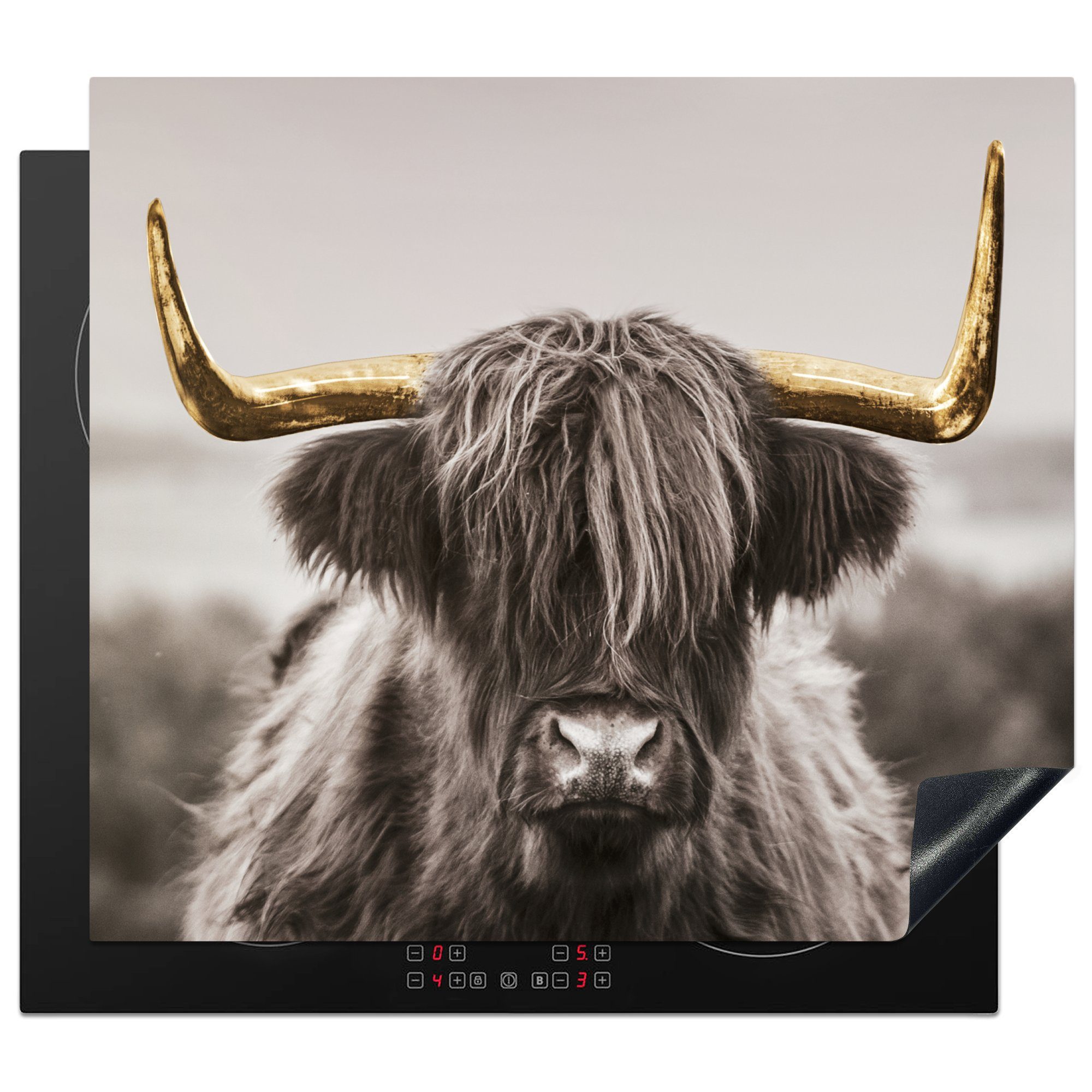 MuchoWow Herdblende-/Abdeckplatte Scottish Highlander - Schwarz - Weiß - Gold, Vinyl, (1 tlg), 59x52 cm, Ceranfeldabdeckung für die küche, Induktionsmatte