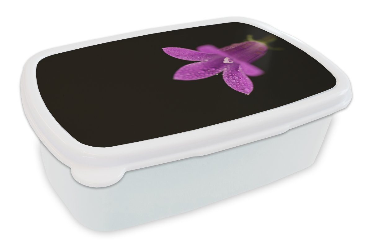 MuchoWow Lunchbox Eine Nahaufnahme einer lila Lilie auf schwarzem Hintergrund, Kunststoff, (2-tlg), Brotbox für Kinder und Erwachsene, Brotdose, für Jungs und Mädchen weiß