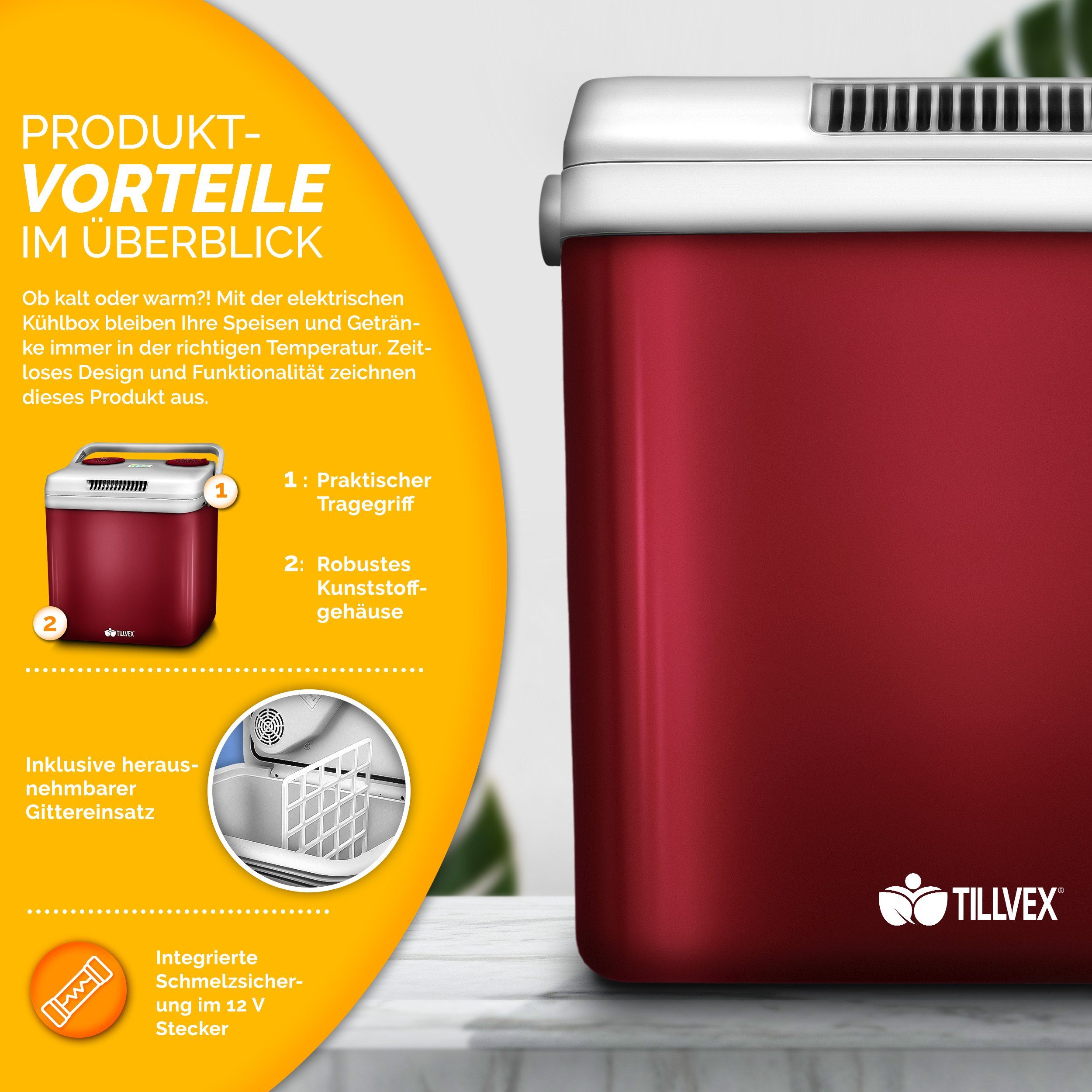 tillvex Kühlbox Kühlbox elektrisch 32L Mini-Kühlschrank, 230 V und 12 V für KFZ Auto Camping