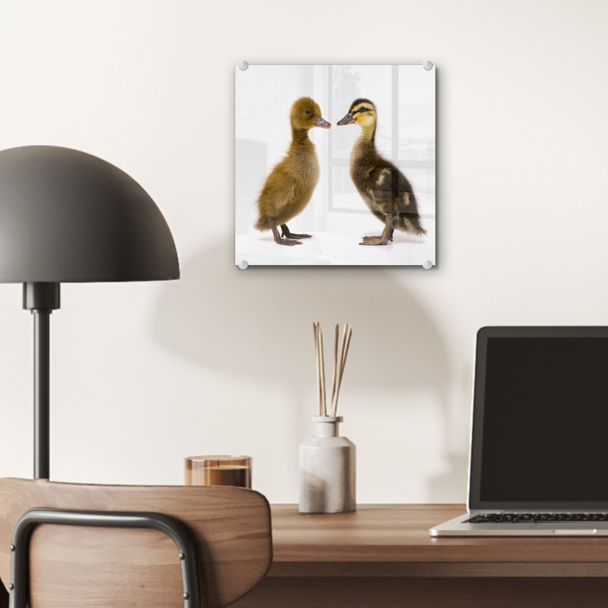 auf Glasbilder Acrylglasbild MuchoWow Zwei St), Glas - Baby-Enten, auf (1 Wanddekoration Glas Foto - Wandbild Bilder -