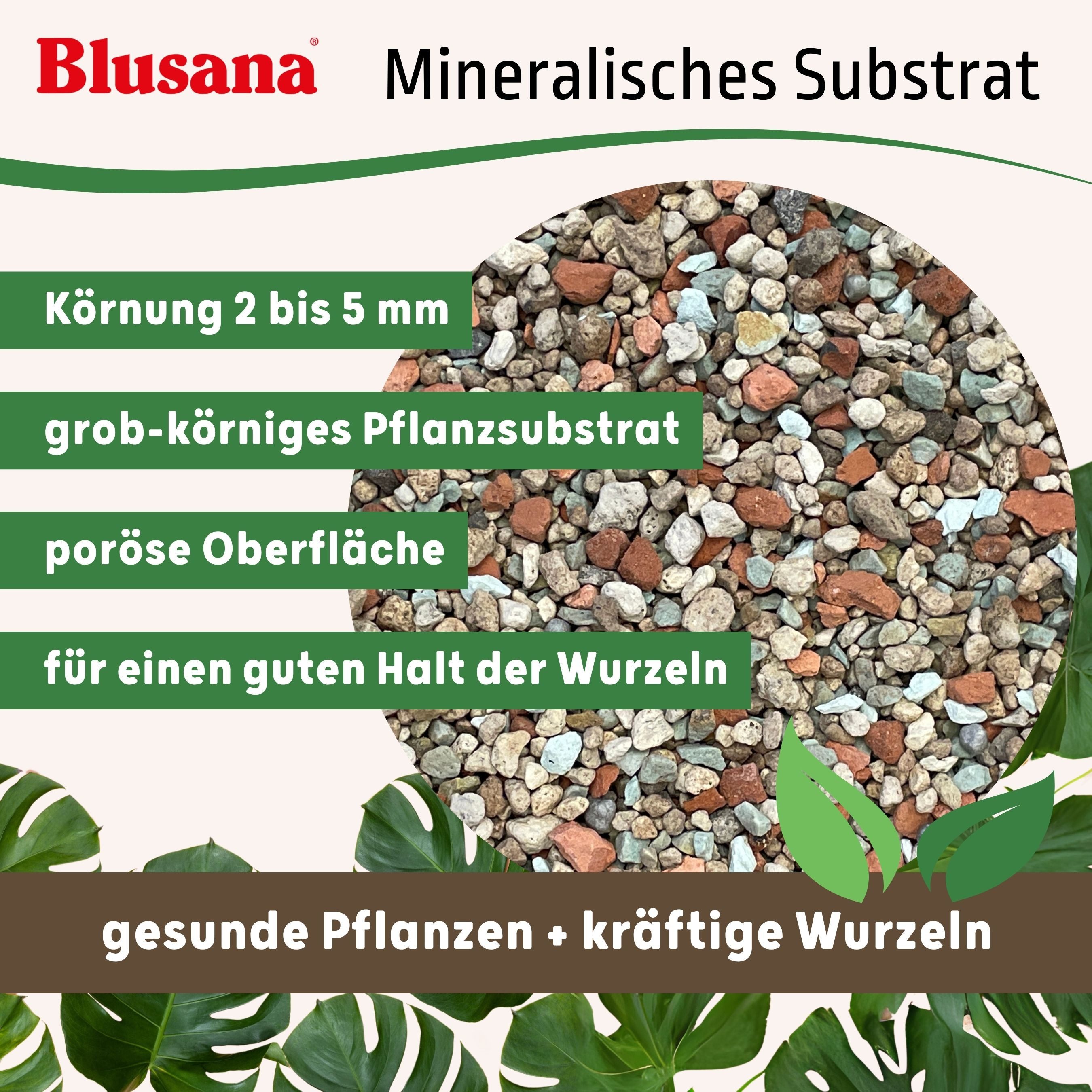 LENI Blumentopf Atlas Blumentopf Kunststoff matt 11/09 Hydro-Komplettset 4er-Pack Weiß (Hydrokultur-Set, Übertopf, Kulturtopf, Gießanzeige, Substrat vorgedüngt, – Bild 5 von 5