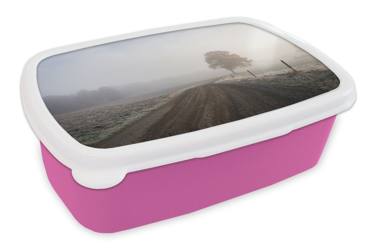 MuchoWow Lunchbox Morgennebel über dem Söderåsen-Nationalpark in Schweden, Kunststoff, (2-tlg), Brotbox für Erwachsene, Brotdose Kinder, Snackbox, Mädchen, Kunststoff rosa