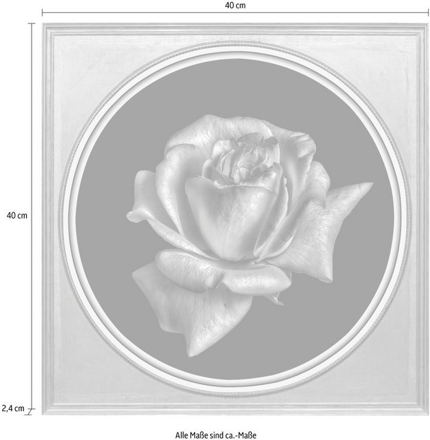 queence Acrylglasbild »Blume«-Otto