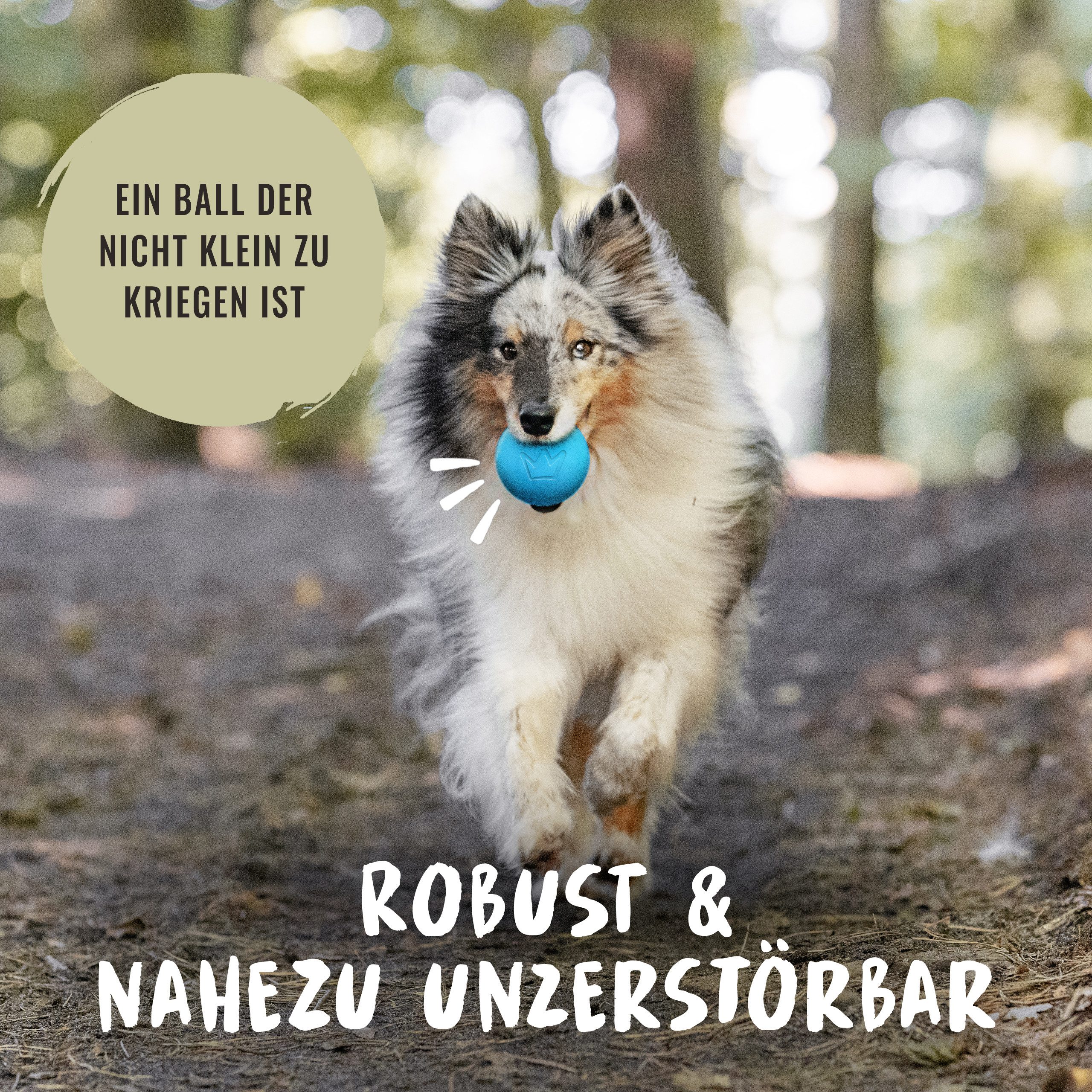 Rudelkönig Tierball Hundeball aus Naturkautschuk, Robustes Hundespielzeug, Naturkautschuk, (2-tlg) Nahezu unzerstörbares Hundespielzeug, Ball mit 6,5cm Ø