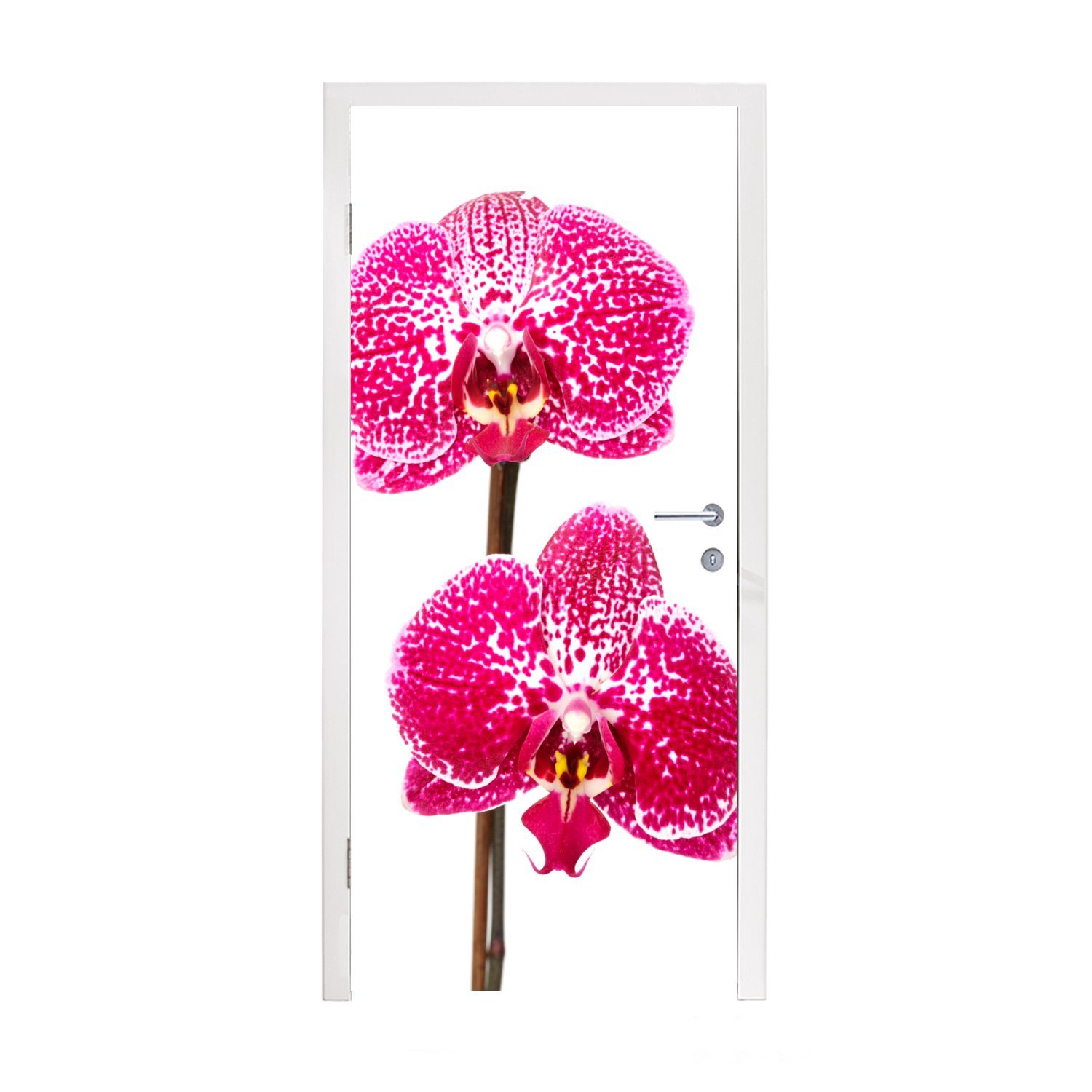 MuchoWow Türtapete Orchidee rosa, Matt, bedruckt, (1 St), Fototapete für Tür, Türaufkleber, 75x205 cm