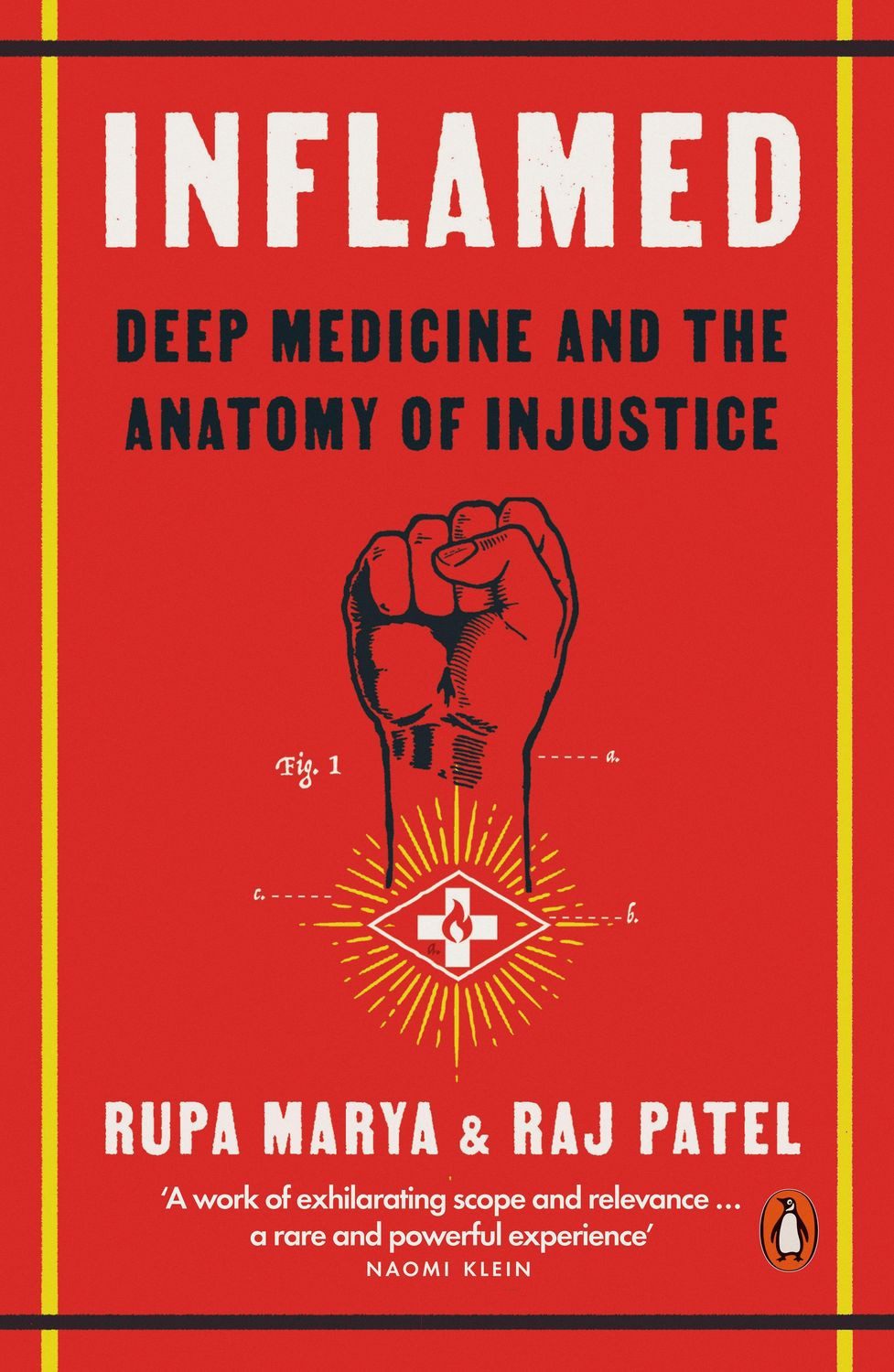 Inflamed / Rupa Marya, Raj Patel