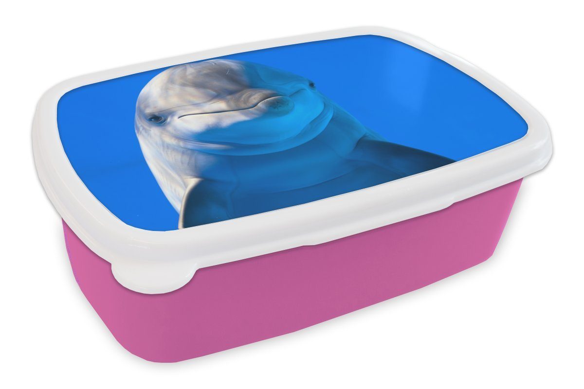 Schnäppchenmodell MuchoWow Lunchbox Kinder, Brotdose rosa Brotbox Aquarium, Kunststoff Snackbox, für Erwachsene, Kunststoff, Delfin (2-tlg), einem in Mädchen