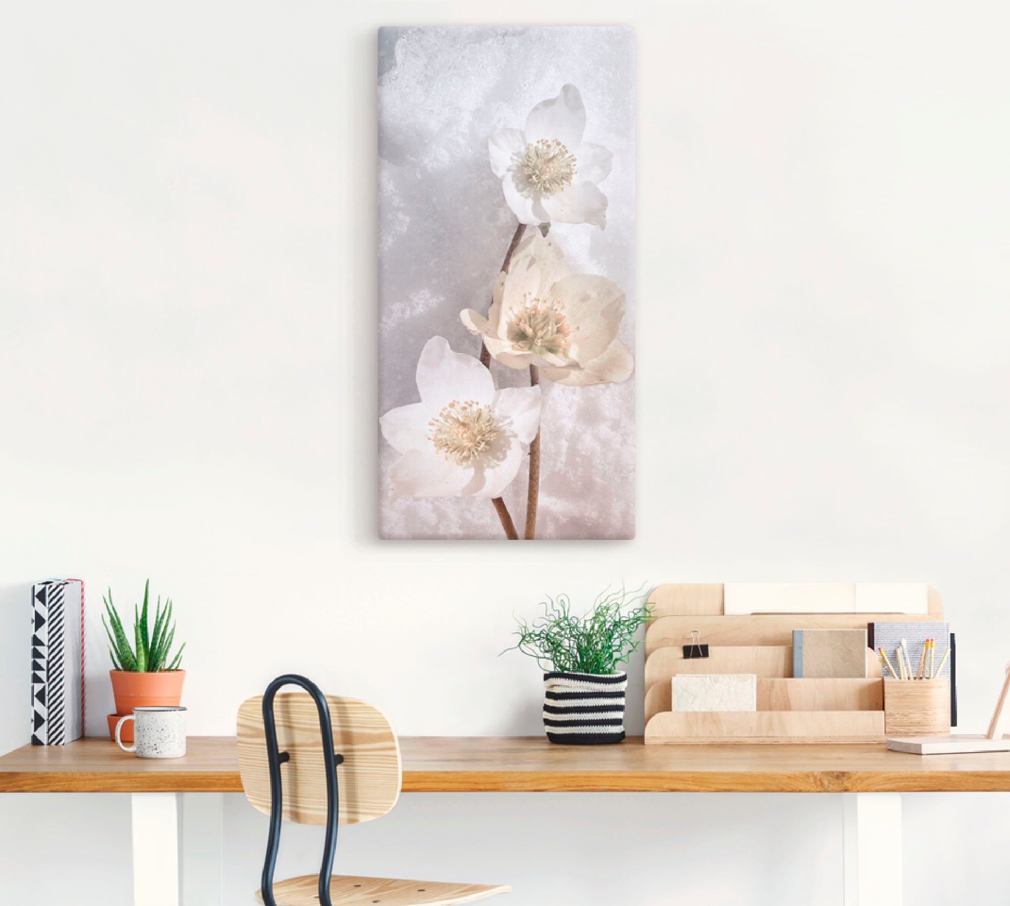 Artland Leinwandbild Christrose im Schnee, Blumen (1 St), auf Holzrahmen gespannt