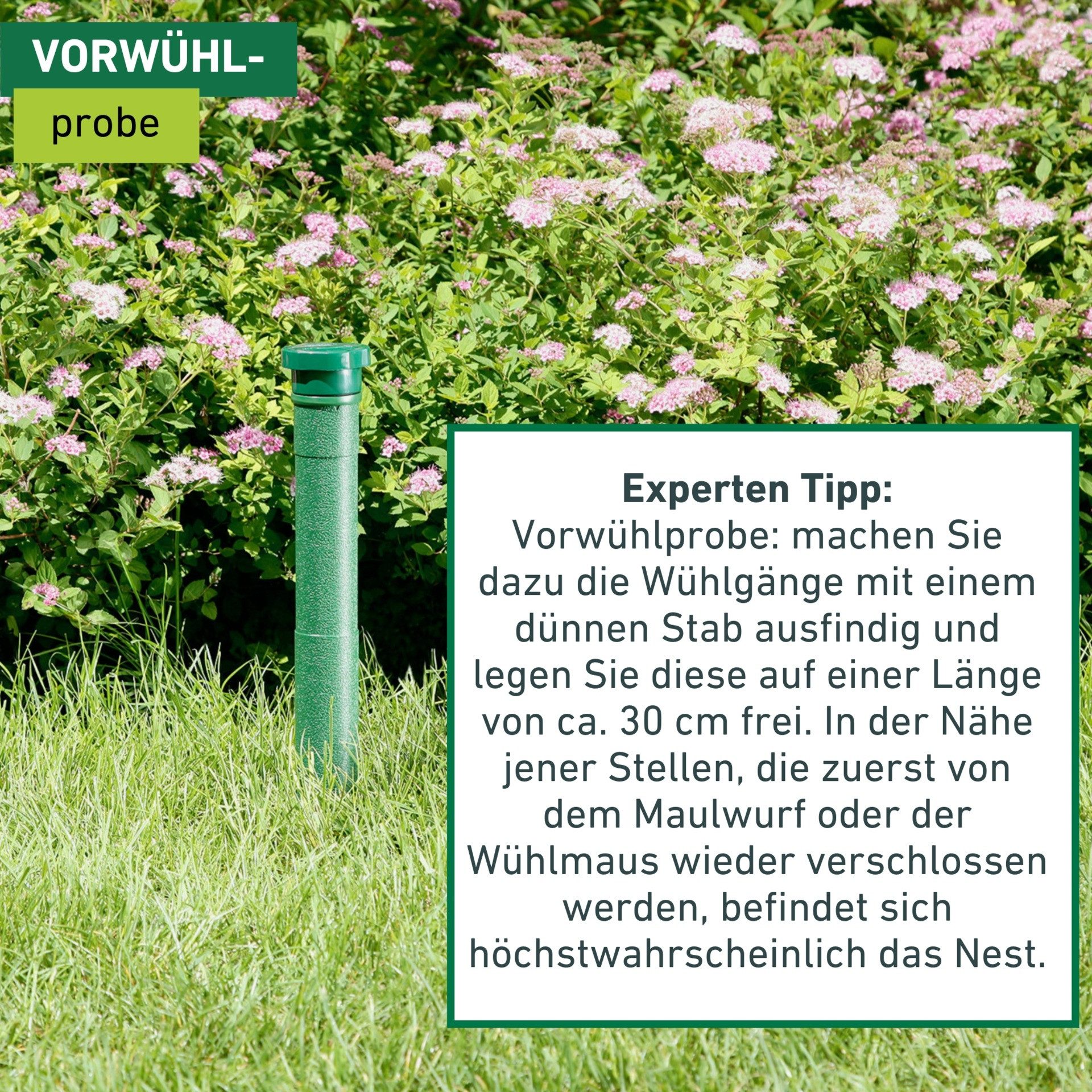 Windhager Ultraschall-Tierabwehr Maulfwurfschreck und Wühlmausvertreiber Classic, batteriebetrieben, Wirkungsbereich 600 m² mit niederfrequenten Schallwellen – Bild 5 von 5