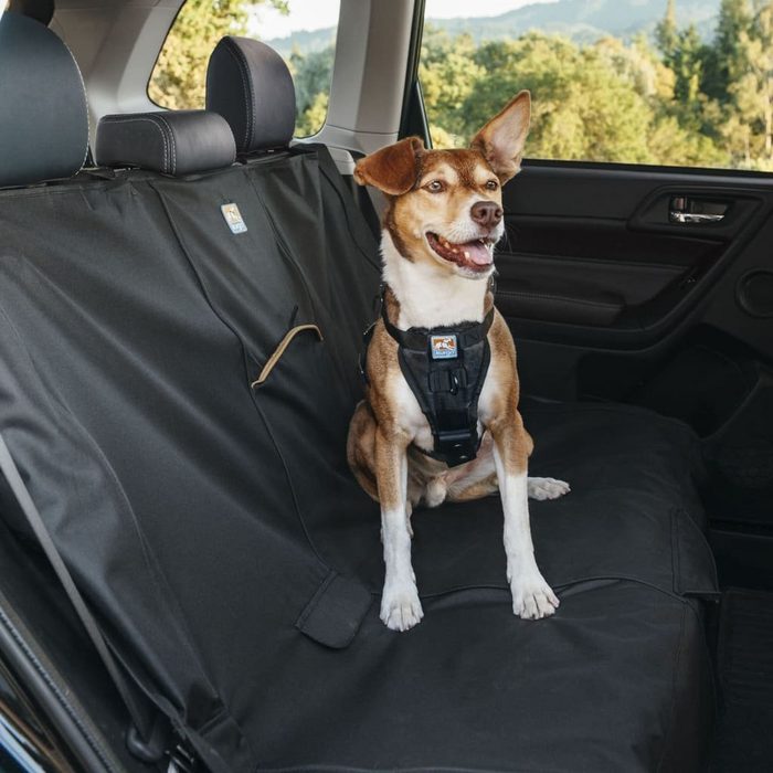 kurgo Tiertransportbox Autoschondecke für Hunde Wander Schwarz