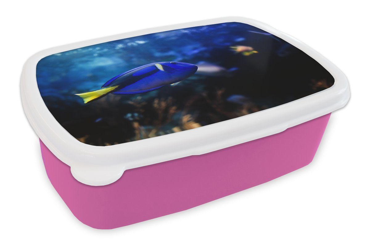 Kinder, Blauer MuchoWow Snackbox, Aquarium, Brotdose Mädchen, Kunststoff, im (2-tlg), für Fisch Kunststoff rosa Lunchbox Brotbox Erwachsene,