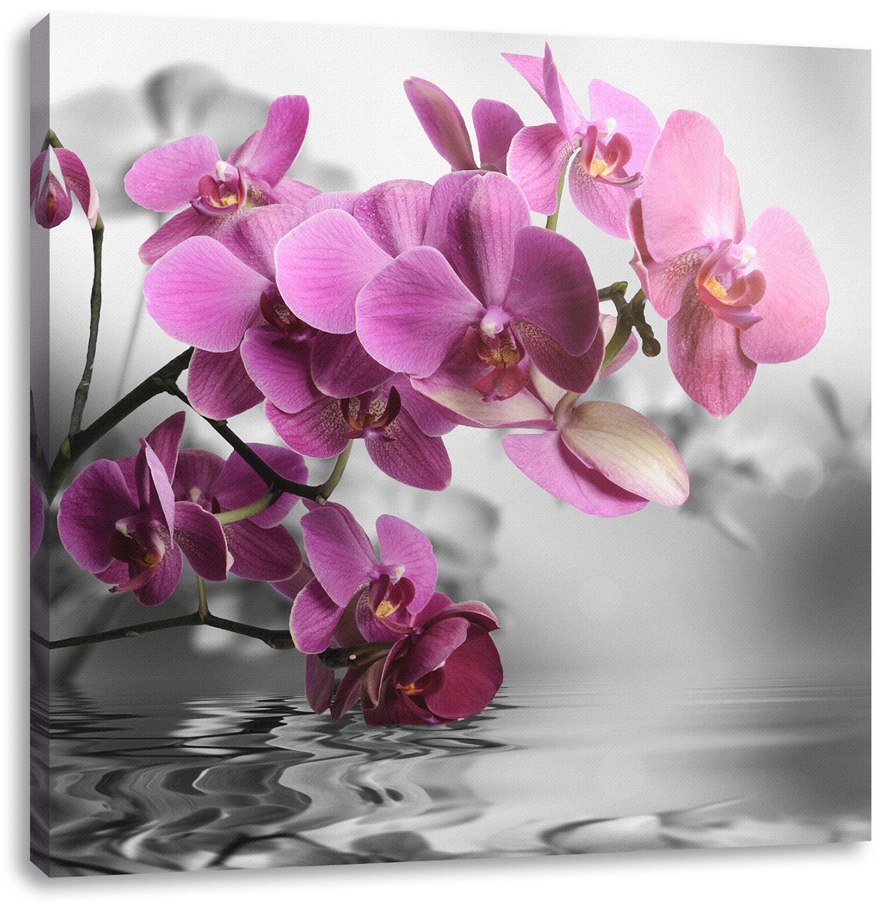 Pixxprint Leinwandbild Orchideenblüten über Wasser, Orchideenblüten über Wasser (1 St), Leinwandbild fertig bespannt, inkl. Zackenaufhänger