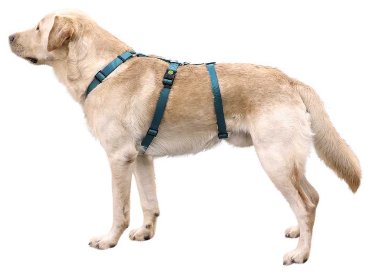 Kerbl Hunde-Halsband