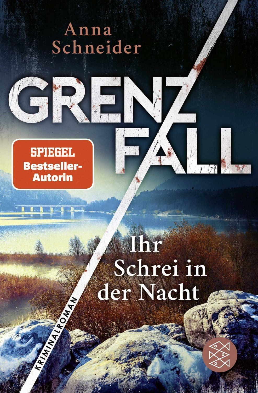 Grenzfall - Ihr Schrei in der Nacht / Anna Schneider