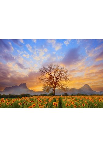 Papermoon Fototapetas »Sonnenblumen Dusky Sky« s...