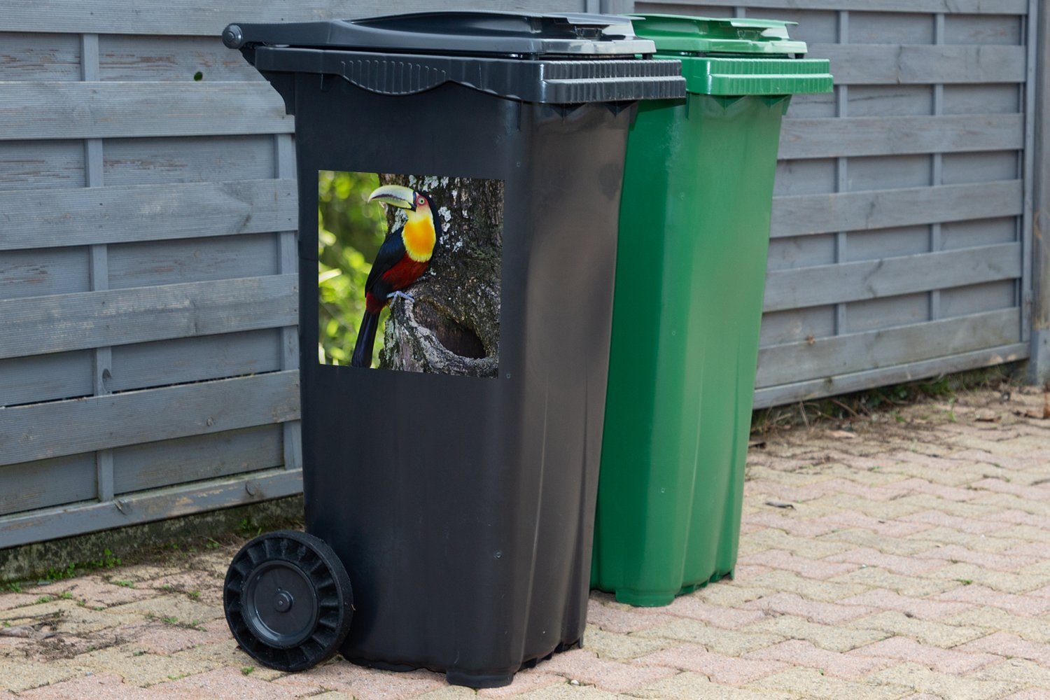 nach Mülltonne, Tukan schaut Baum Abfalbehälter (1 St), von Wandsticker einem Sticker, links Schöner MuchoWow aus Container, Mülleimer-aufkleber,