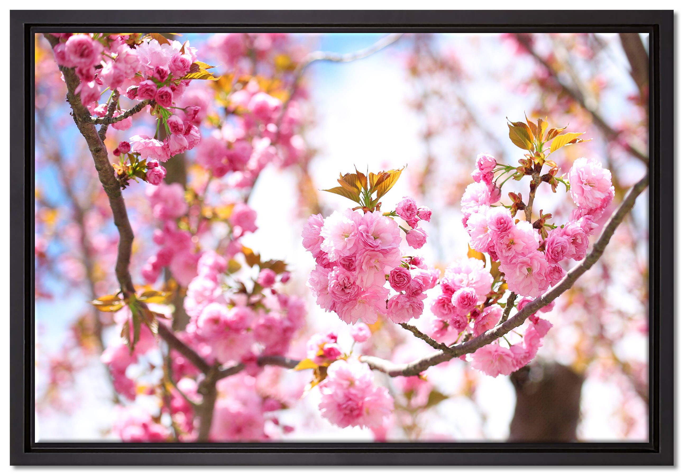 Pixxprint Leinwandbild Schöne Kirschblüten, Wanddekoration (1 St), Leinwandbild fertig bespannt, in einem Schattenfugen-Bilderrahmen gefasst, inkl. Zackenaufhänger