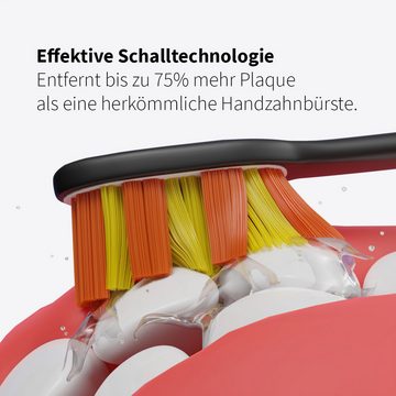 Zahnheld Elektrische Zahnbürste GERO, Aufsteckbürsten: 2 St., Doppelpack, Set mit 2x Schallzahnbürste schwarz