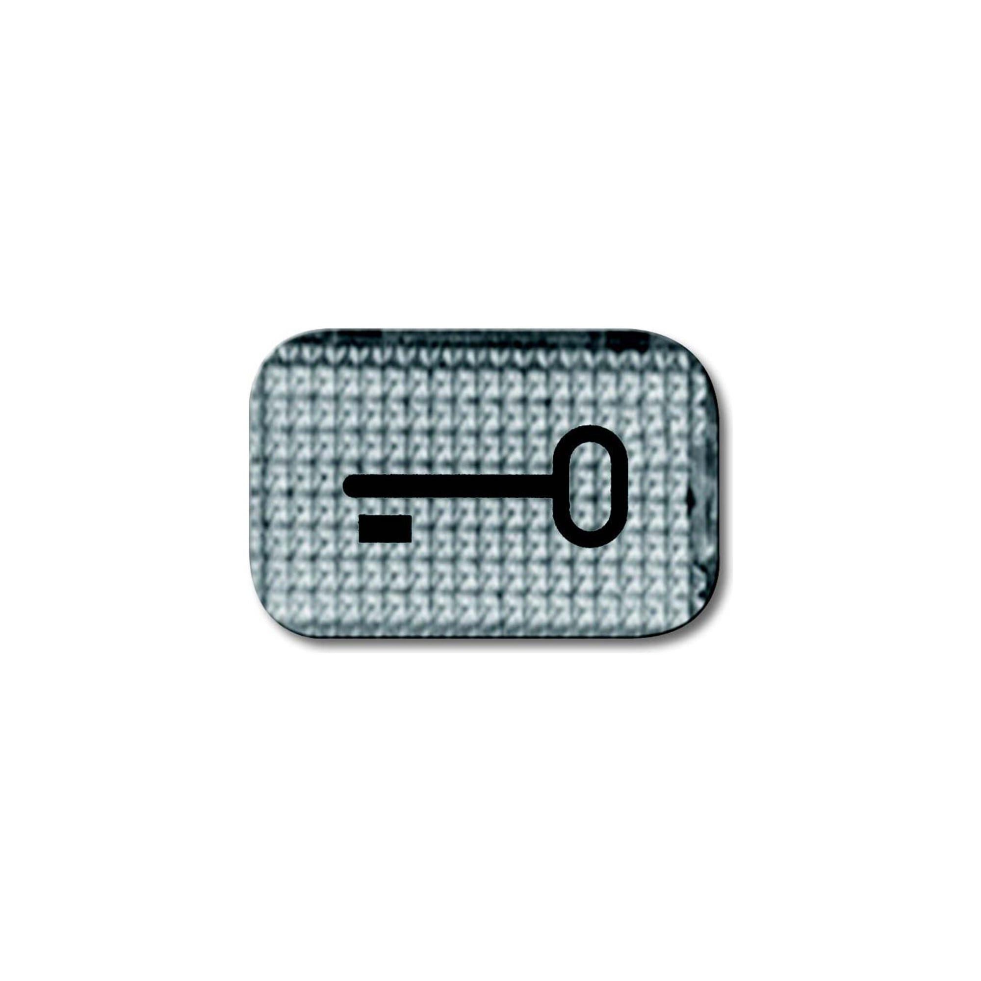 Busch-Jaeger Schalter Busch-Jaeger Tastersymbol Schlüssel 2145 TR