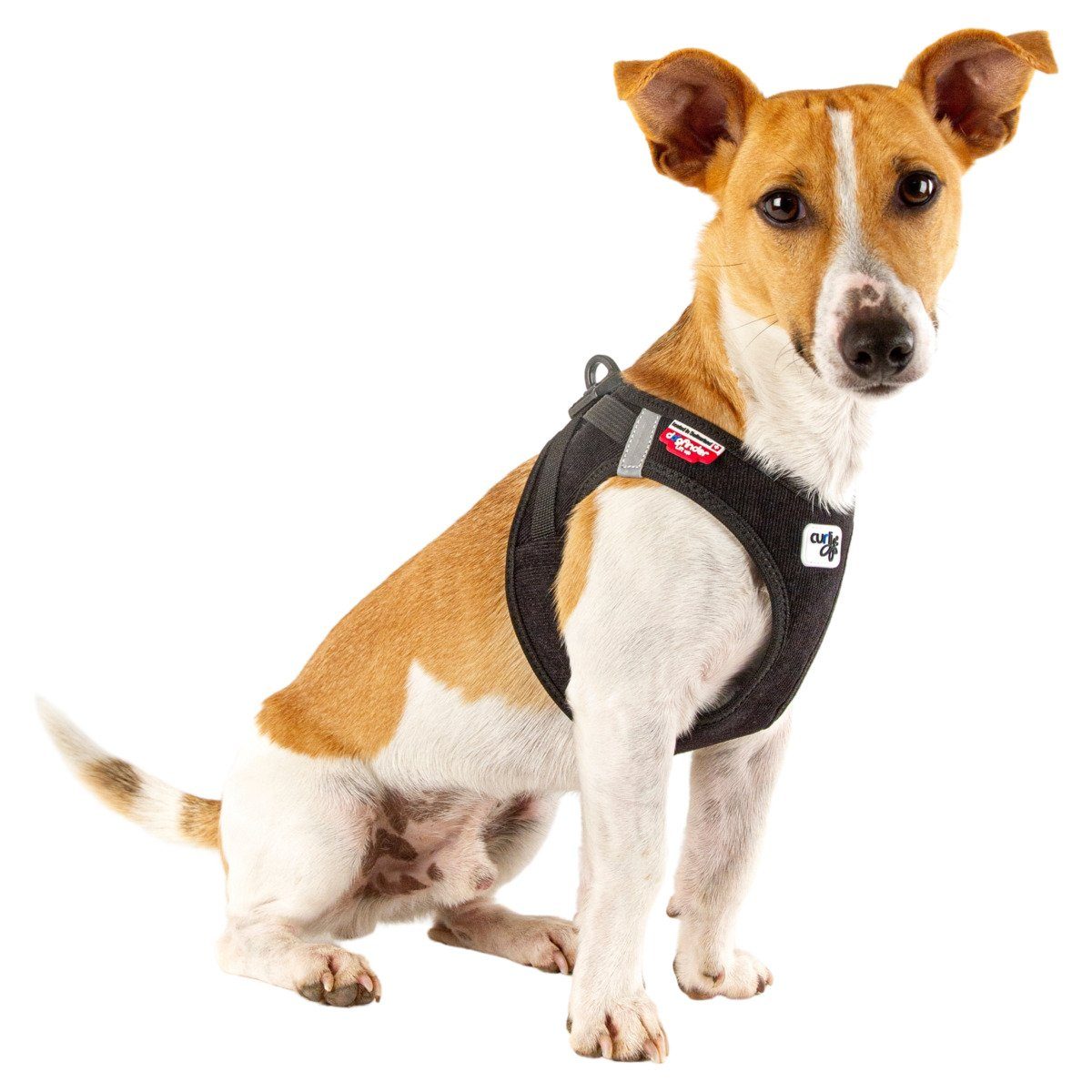 Curli Hunde-Geschirr Clasp Vest Geschirr Cord schwarz günstig online kaufen