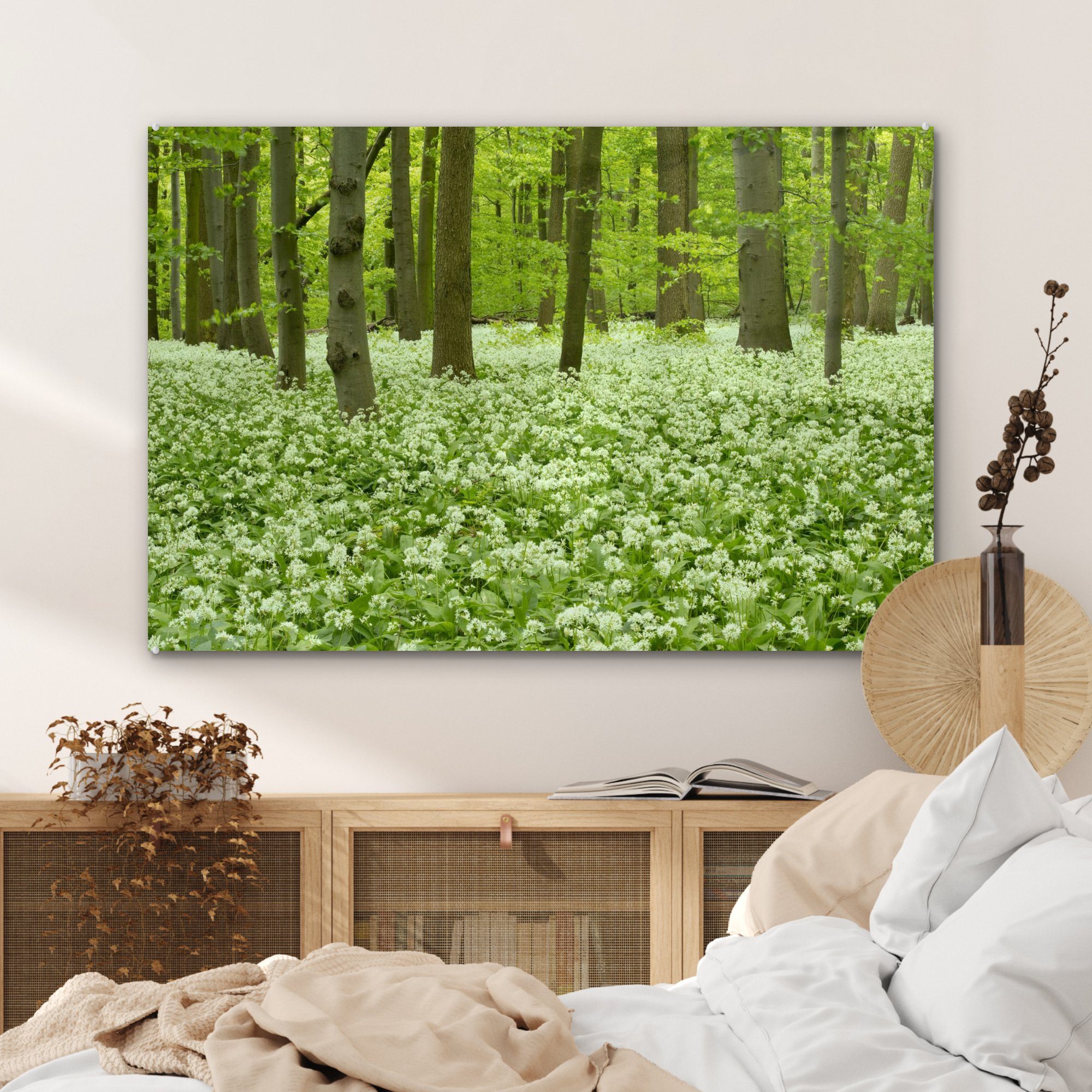 des Wald & Acrylglasbilder einem blühenden in, Wohnzimmer Schlafzimmer Weiße St), Blüten Nationalparks (1 Hainich in Acrylglasbild MuchoWow