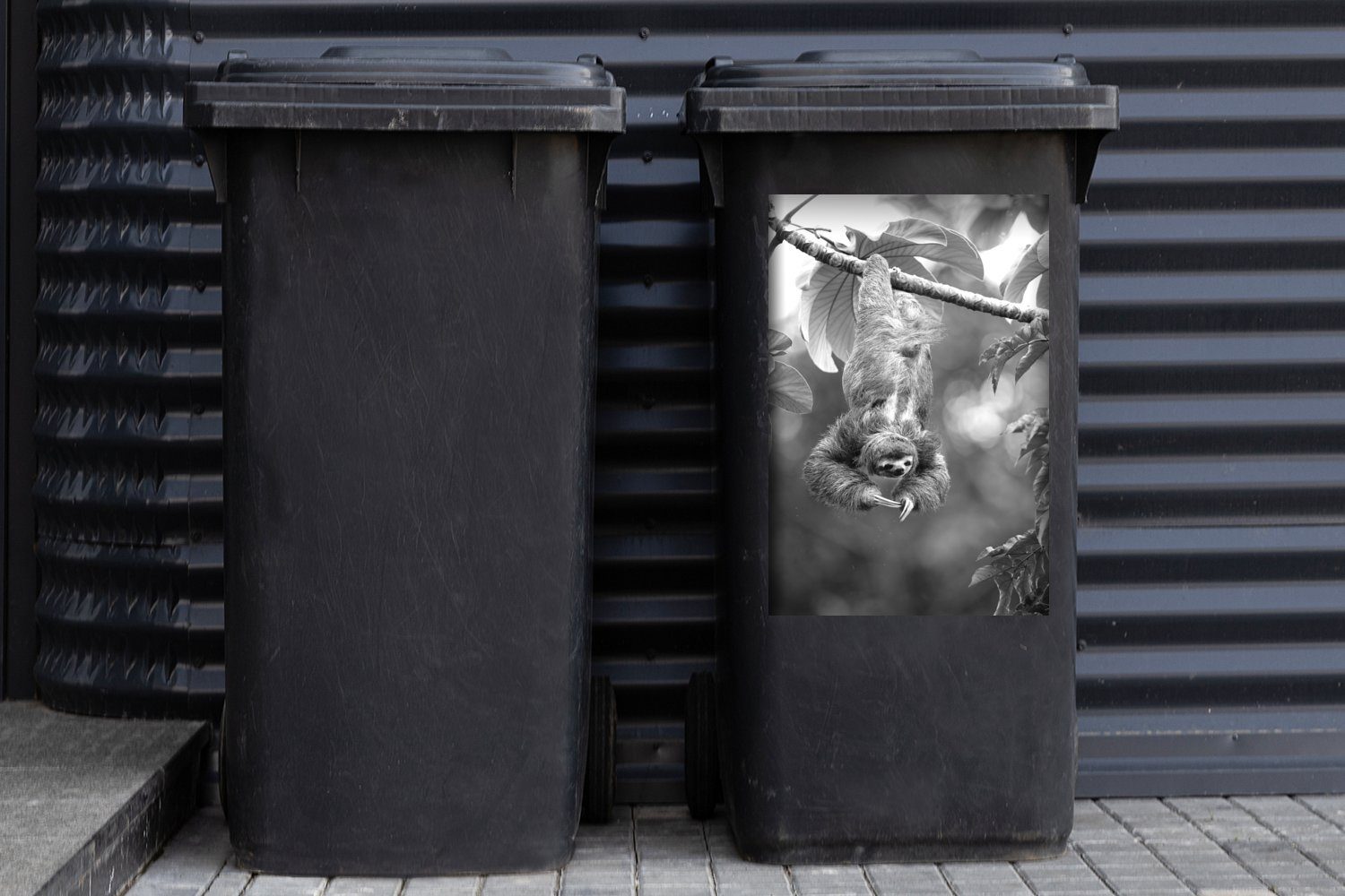 MuchoWow Wandsticker Ein Faultier, Mülleimer-aufkleber, Bäumen in Container, weiß (1 Mülltonne, und St), den Sticker, kopfüber hängt das Abfalbehälter - schwarz