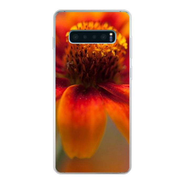 MuchoWow Handyhülle Nahaufnahme einer orangefarbenen Zinnienblüte Phone Case Handyhülle Samsung Galaxy S10+ Silikon Schutzhülle