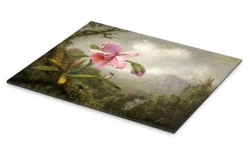 Posterlounge Acrylglasbild Martin Johnson Heade, Orchidee und Kolibri, Malerei