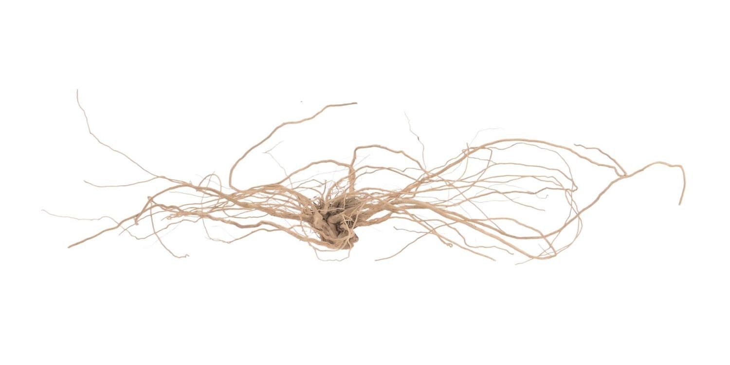 NaDeco Bastelnaturmaterial Mantai Wurzeln in Natur, Länge ca. 20-25 cm, Höhe 6-10 cm