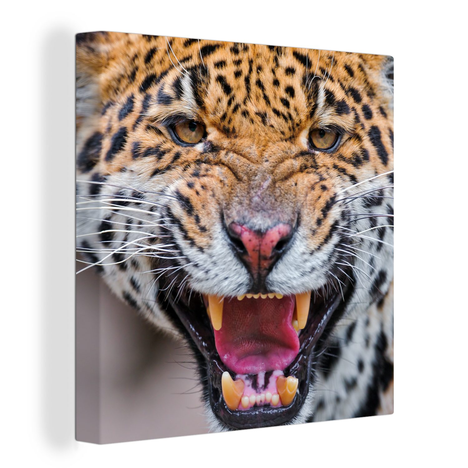 OneMillionCanvasses® Leinwandbild Jaguar - Makro - Tier, (1 St), Leinwand Bilder für Wohnzimmer Schlafzimmer bunt