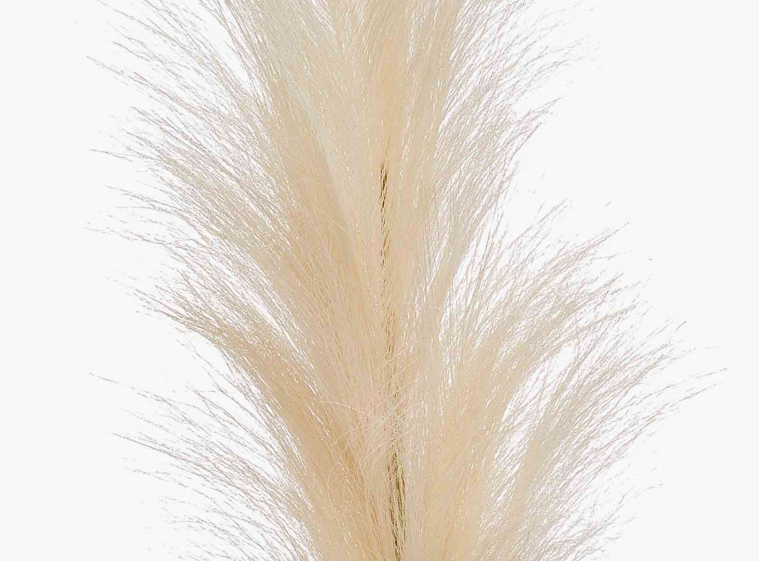 Kunstzweig Künstliche Pampasgras Rispe AMATSIA, Creme, 115cm Pampasgras, artplants, Höhe 115.0 cm – Bild 3 von 4