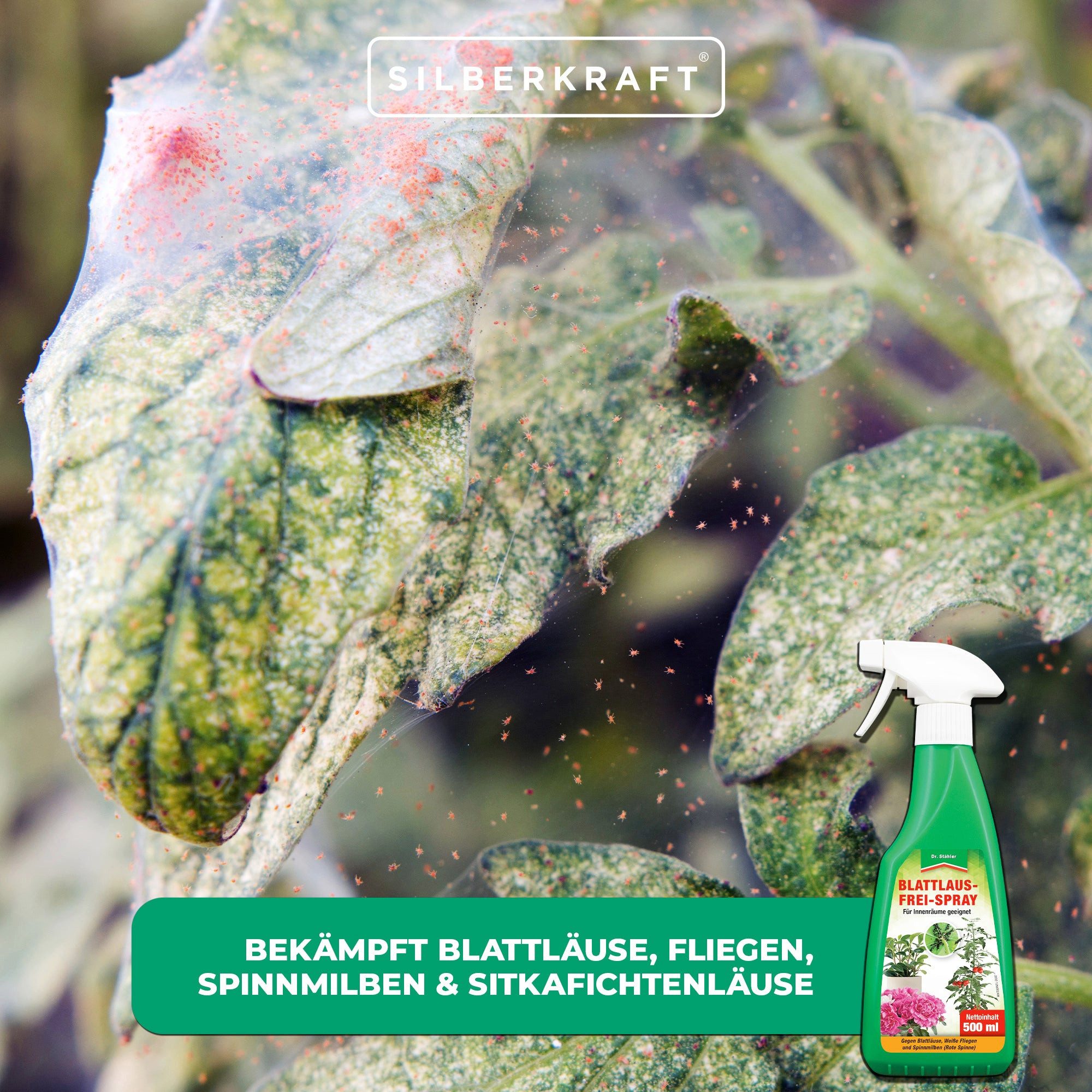 Dr. Stähler Insektenspray Blattlausfrei-Spray - Effektiver Schutz für Obst, Gemüse & Zierpflanze, 500.0 ml, 1-St., Bekämpft Blattläuse, Fliegen, Spinnmilben & Sitkafichtenläuse