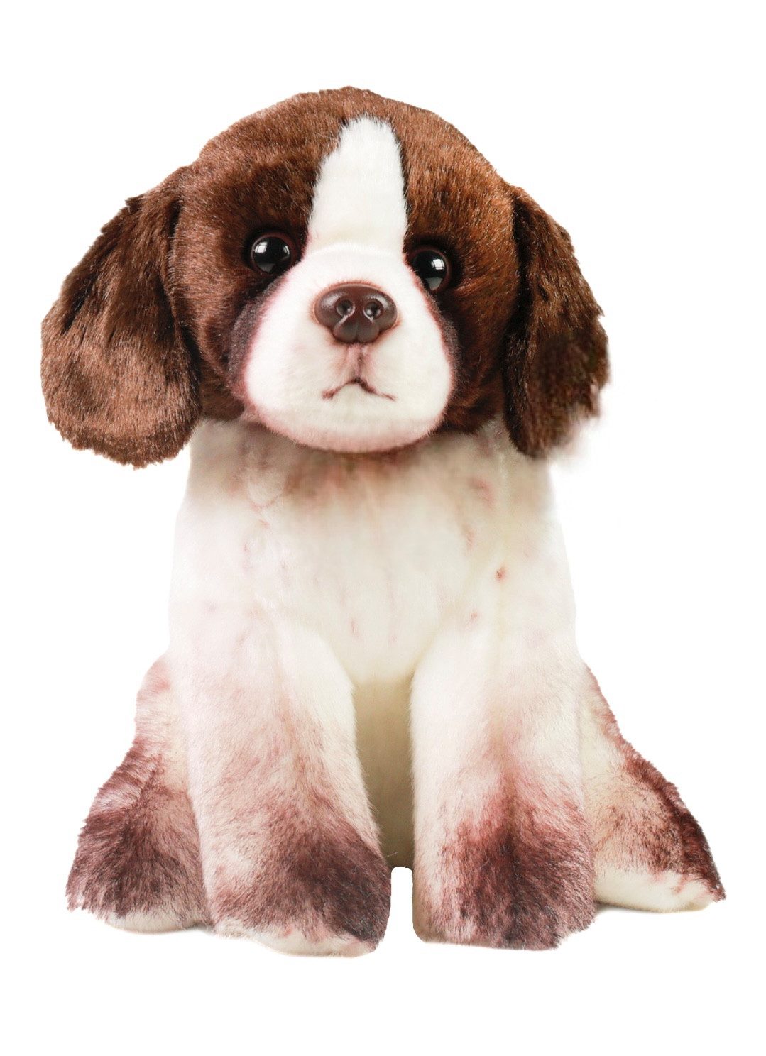 Teddys Rothenburg Kuscheltier Jagdhund sitzend braun/weiß 24 cm Plüschhund Stofftier (Plüschtier, Stoffhund, Stoffjadghund, Plüschjagdhund)