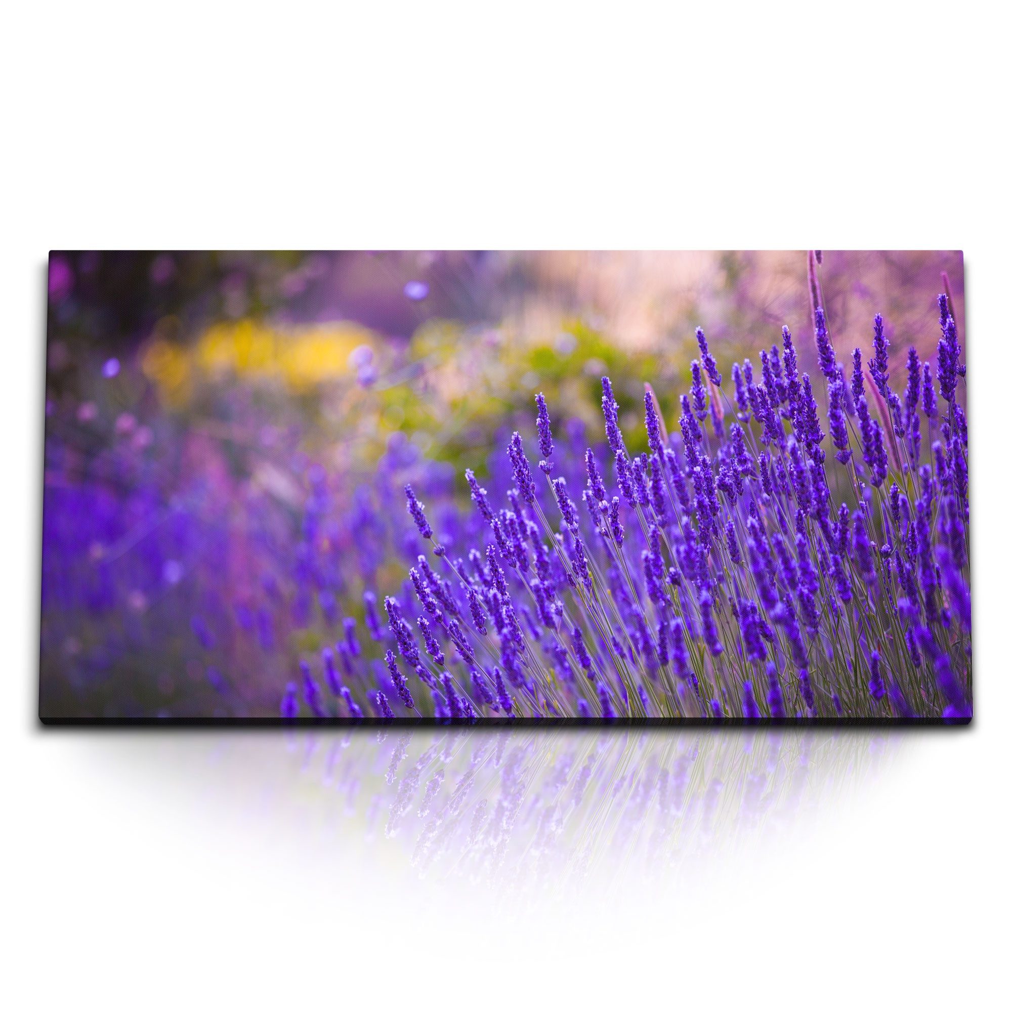 Leinwandbild Kunstdruck Bilder 120x60cm Lavendel Blumen Wildblumen Blau Natur Somme