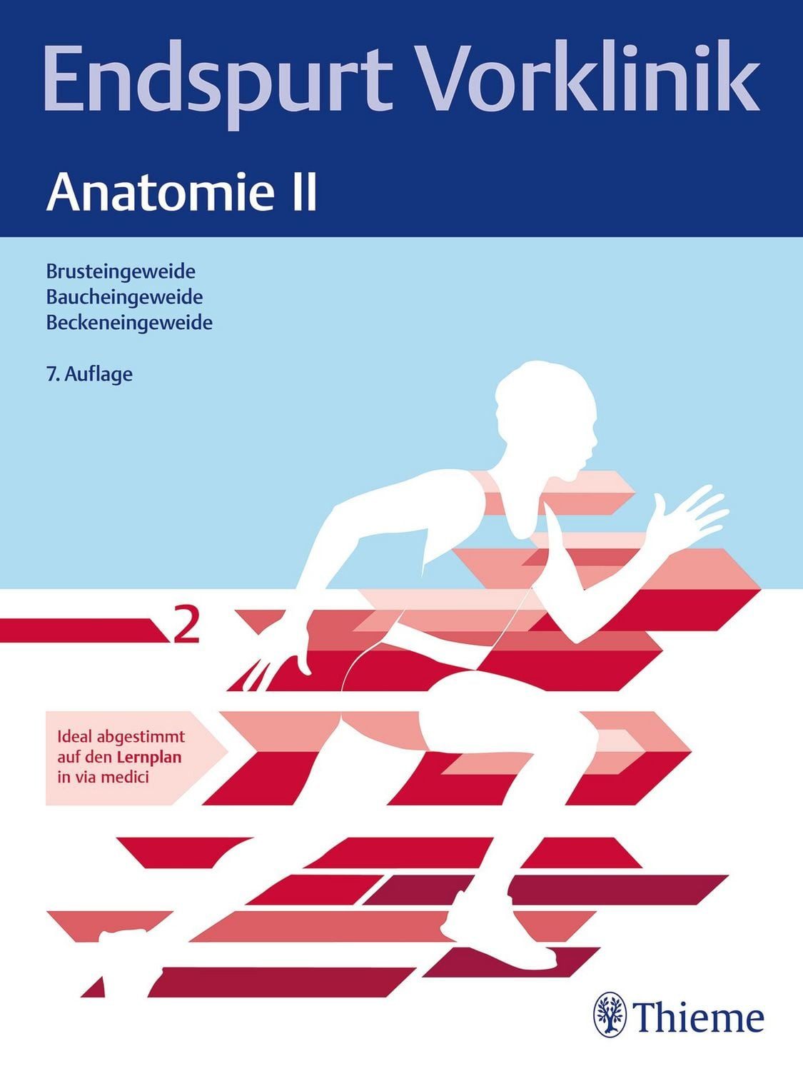 Endspurt Vorklinik: Anatomie II / diverse