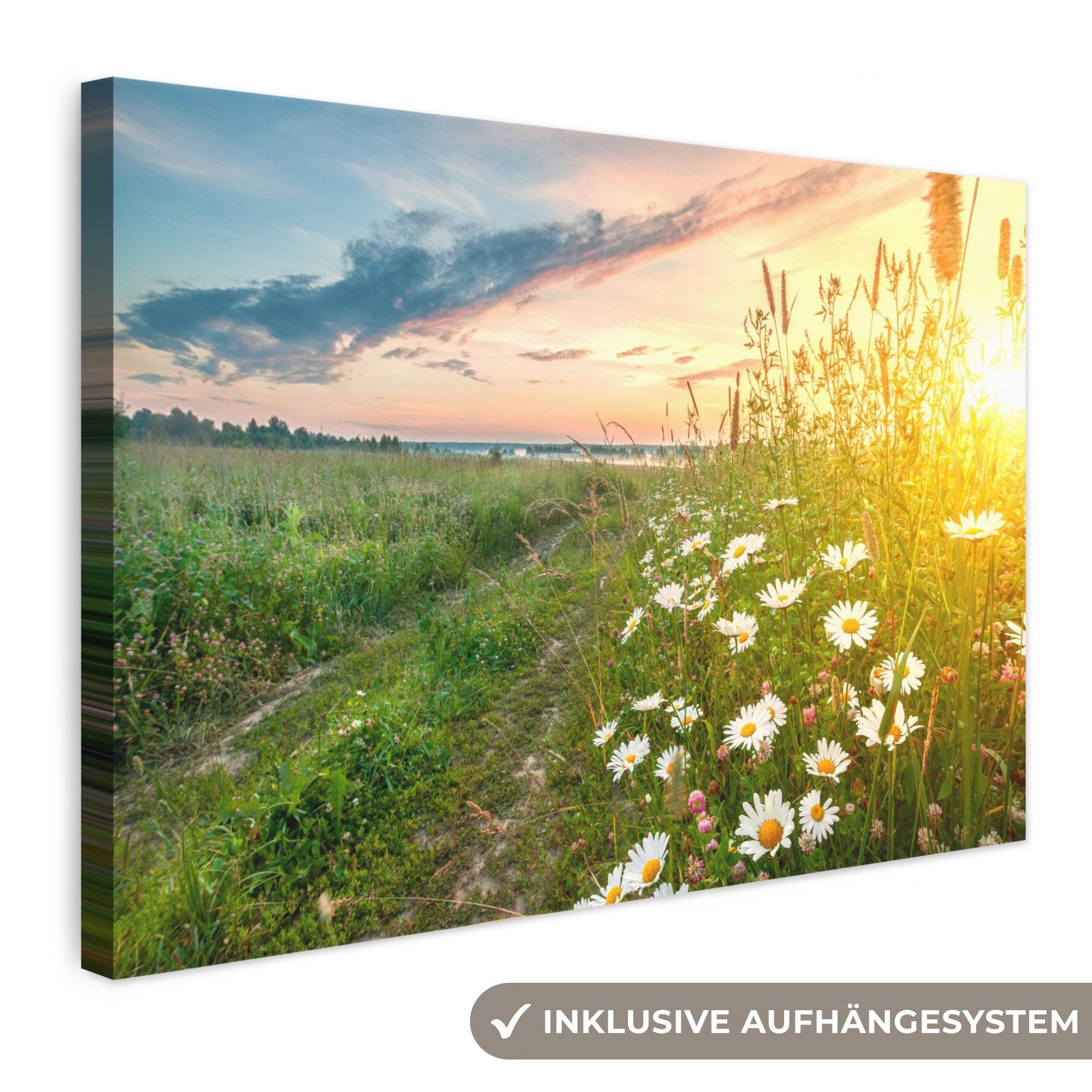 OneMillionCanvasses® Leinwandbild Blumen - Gänseblümchen - Natur - Sonne - Horizont, Fotodruck (1 St), Leinwand Bilder Klein, Wand Dekoration Aesthetic 30x20 cm