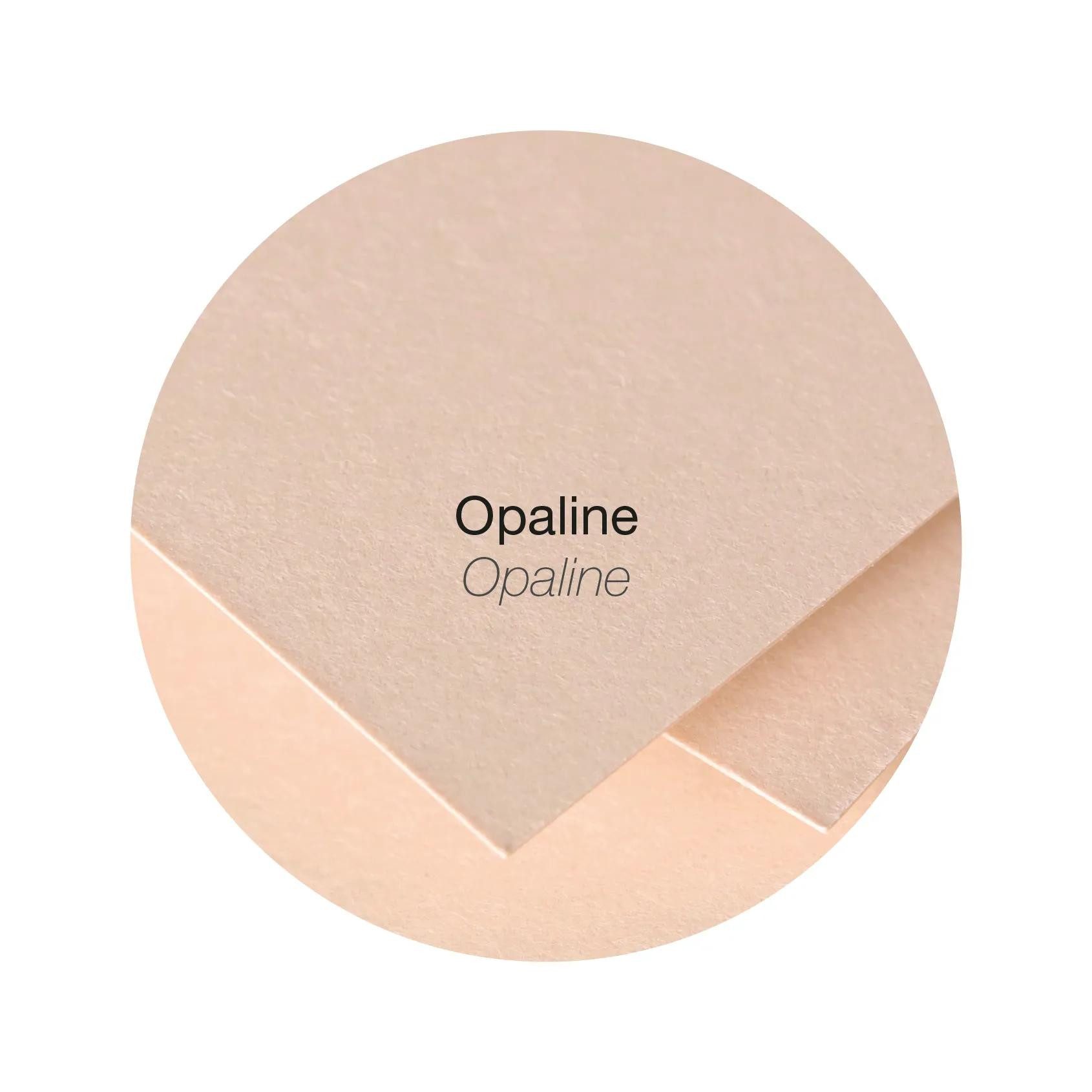 Pollen Briefumschlag 10x Pollen, Packung mit 50 Blatt A4 120g - Opaline 4234C, Bogen