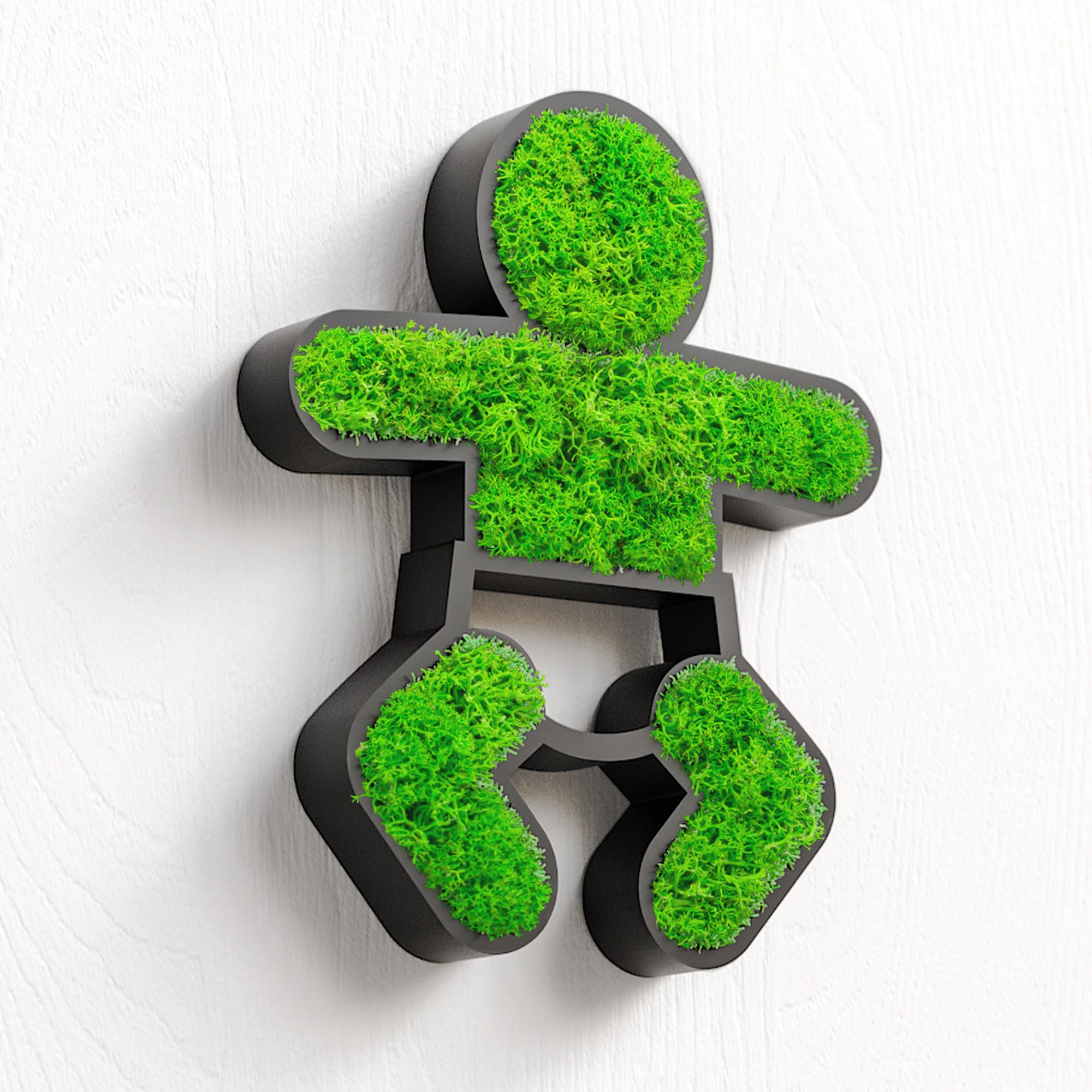 Mooswerk Hinweisschild MOOSWERK WC Türschild mit Moos – Deko fürs Gäste-WC & Badezimmer