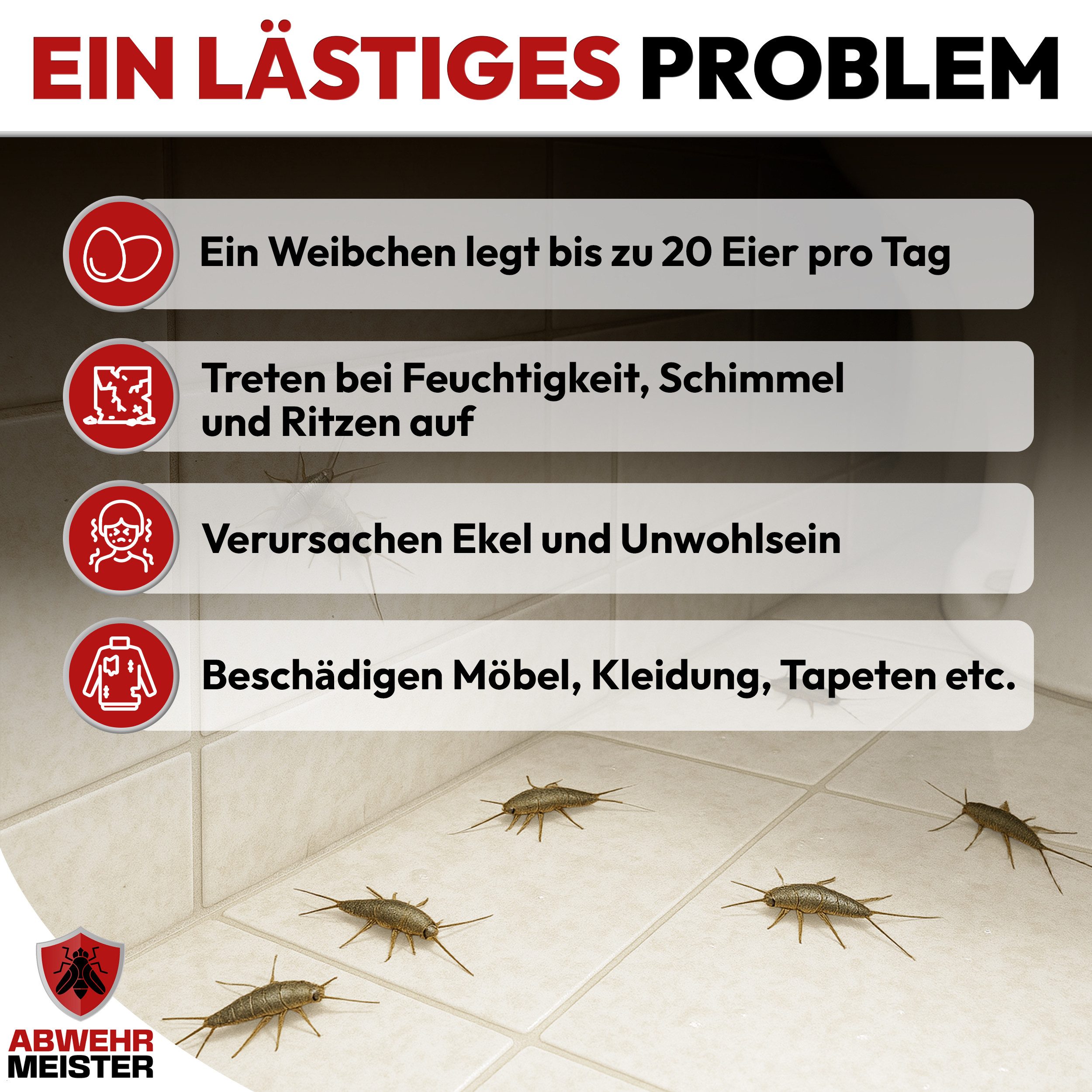 ABWEHR MEISTER Insektenspray ORGINAL ByeBye Silberfisch- Spray [500 ml], 2-St., Präzise Anwendung, dank integrierter Sprühlanze – Bild 2 von 5