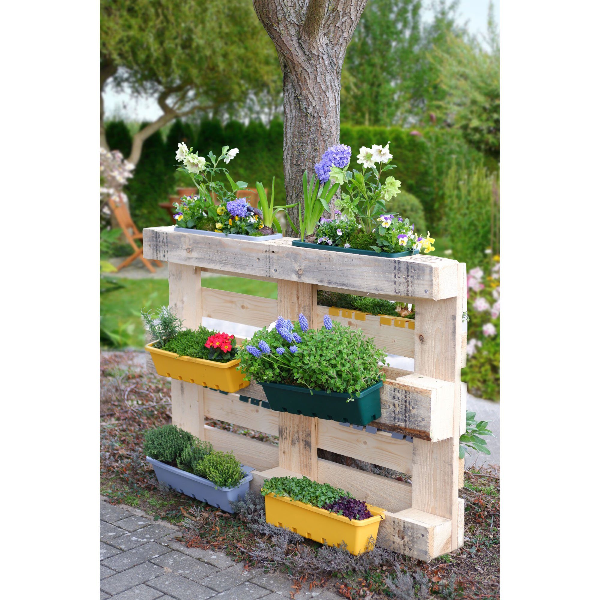 GREENLIFE® Blumenkasten GreenLife Blumenkasten komplett Kräuterbox integrierter 10 Stück, gelb, / Set), Zwischenboden (10er