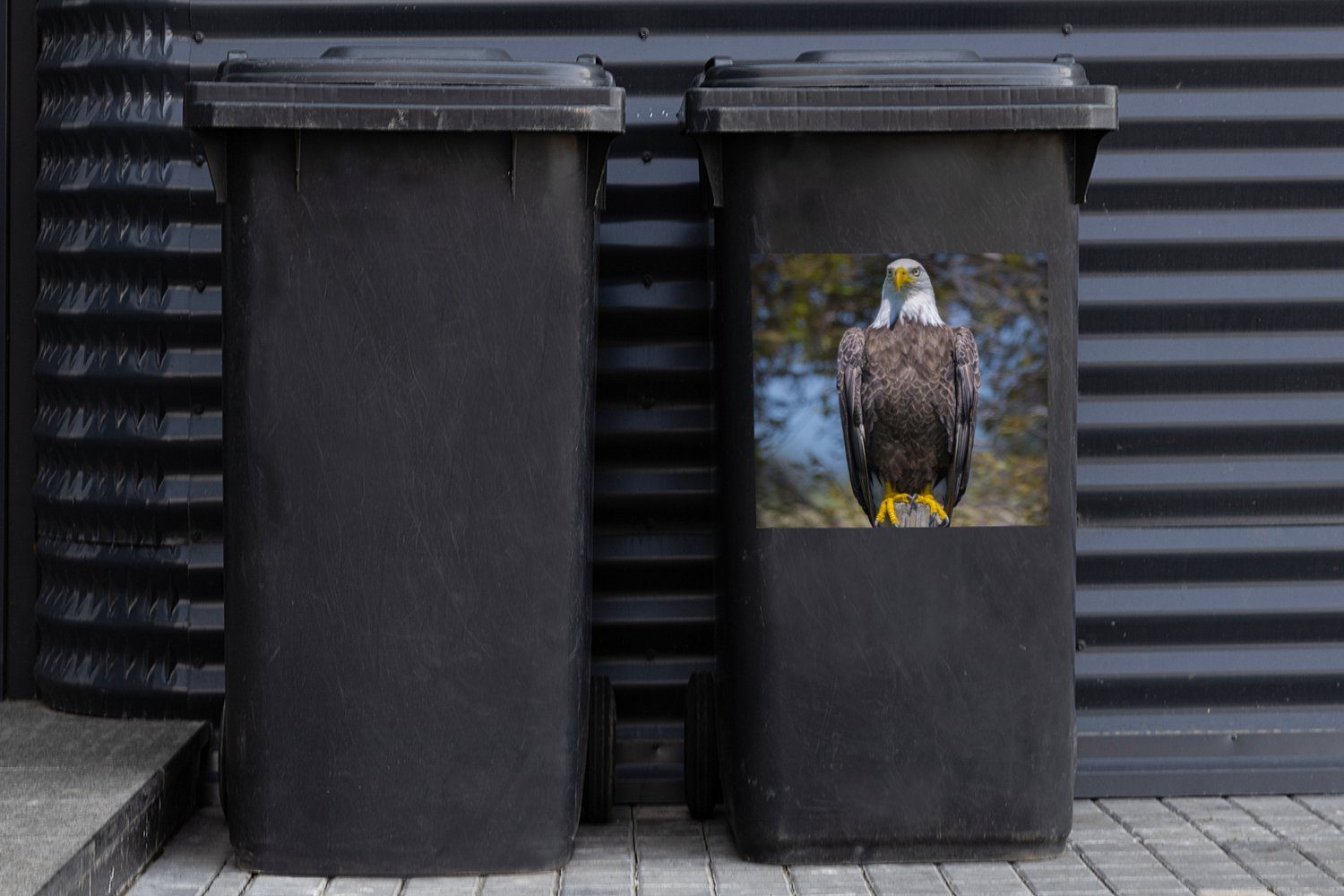 Mülltonne, sitzt MuchoWow einem St), Weißkopfseeadler Container, Sticker, Ein (1 auf Mülleimer-aufkleber, Wandsticker Abfalbehälter Holzpfahl