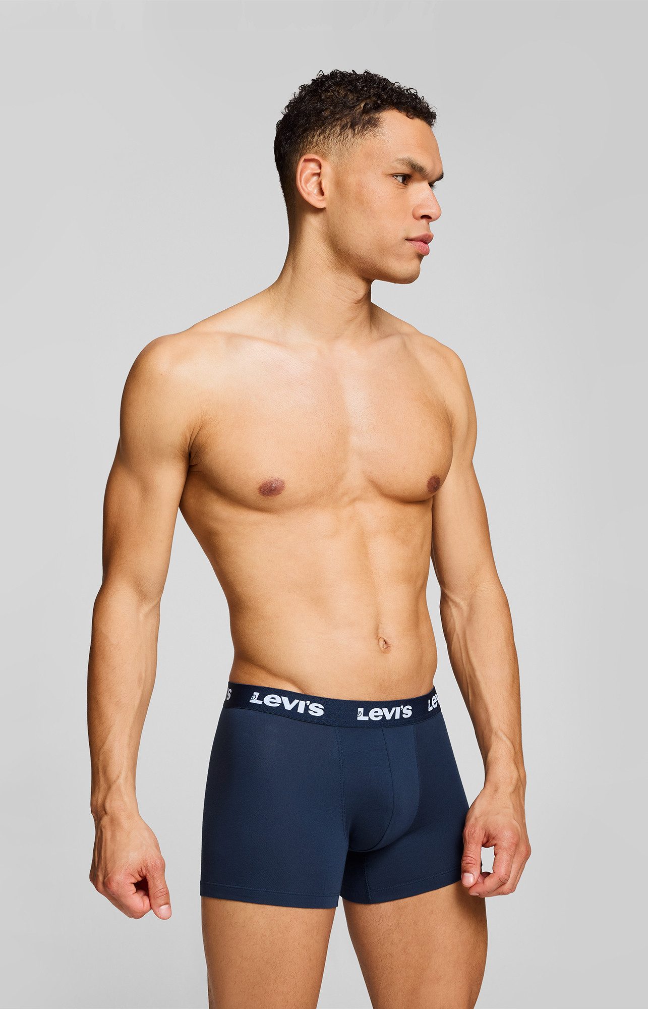 Levi's® Boxershorts LEVIS MEN REPEAT LOGO BOXER BRIEF 2P (2er Pack) ohne Eingriff, Logobund, elastisch