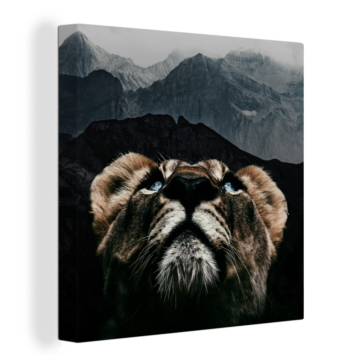 OneMillionCanvasses® Leinwandbild Tiger - Berg - Tiere, (1 St), Leinwand Bilder für Wohnzimmer Schlafzimmer | Leinwandbilder